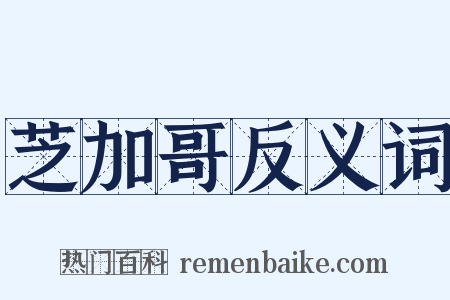 芝加哥反义词是什么意思的图片